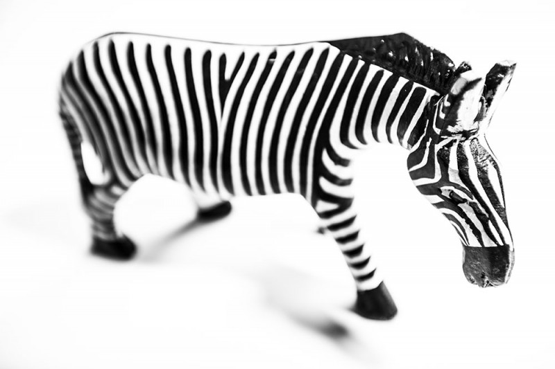 Studio Product Photography Ballarat African zebra sculpture Artists by Aldona Kmiec Product Photography