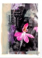 'Pink Fingers' Digital collage with mixed media, Lisa G Hunter