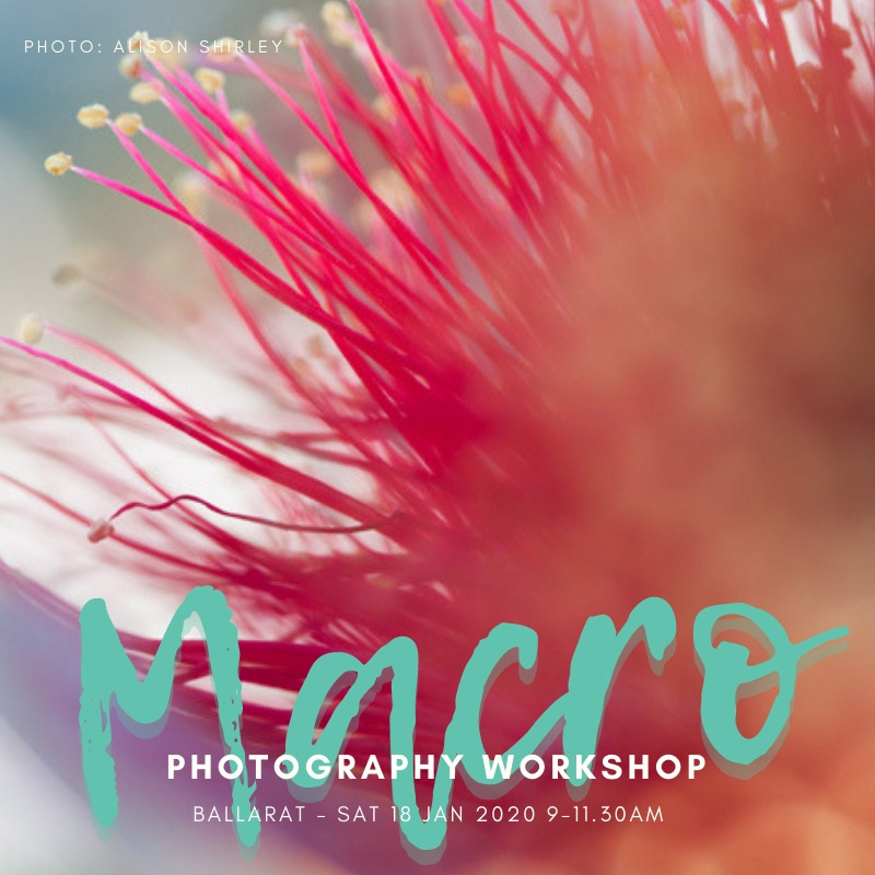 Macro photography workshop