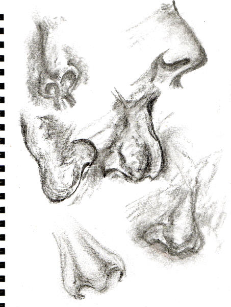 Drawing for Beginners at ClayMotion Ballarat Victoria