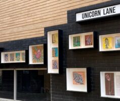 Photo or Unicorn Lane display boxes with artworks of Tegan Crosbie.