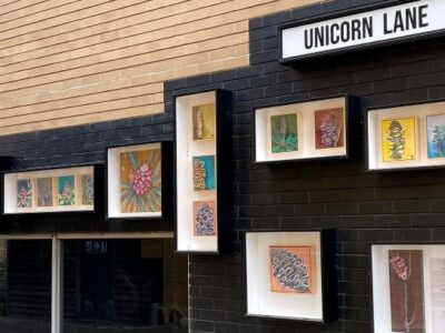 Photo or Unicorn Lane display boxes with artworks of Tegan Crosbie.